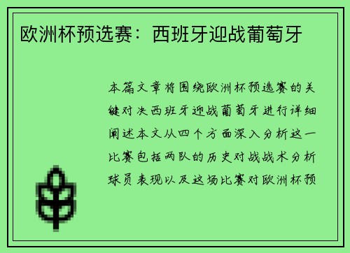 欧洲杯预选赛：西班牙迎战葡萄牙