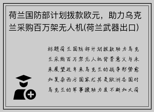 荷兰国防部计划拨款欧元，助力乌克兰采购百万架无人机(荷兰武器出口)