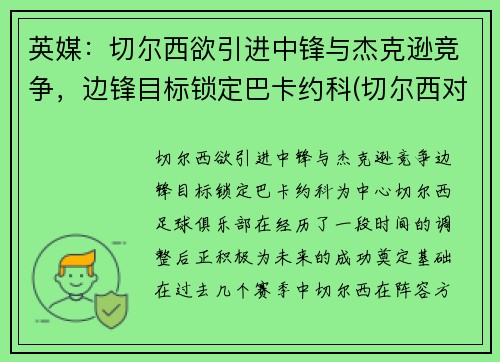 英媒：切尔西欲引进中锋与杰克逊竞争，边锋目标锁定巴卡约科(切尔西对标)