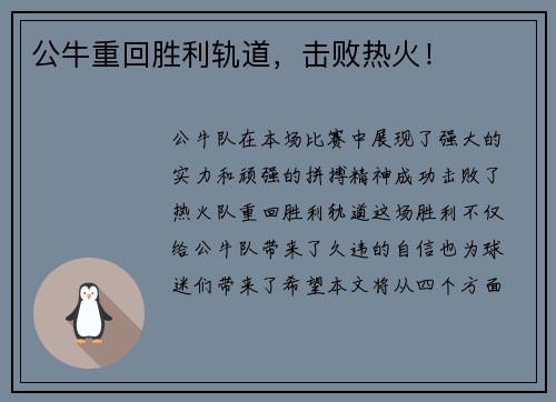 公牛重回胜利轨道，击败热火！